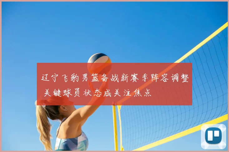 辽宁飞豹男篮备战新赛季阵容调整 关键球员状态成关注焦点