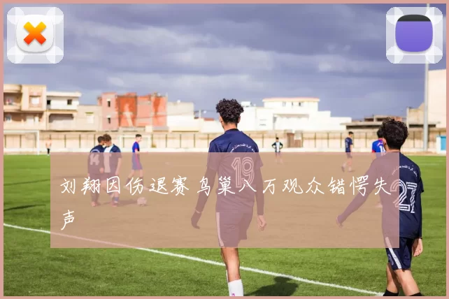 刘翔因伤退赛鸟巢八万观众错愕失声