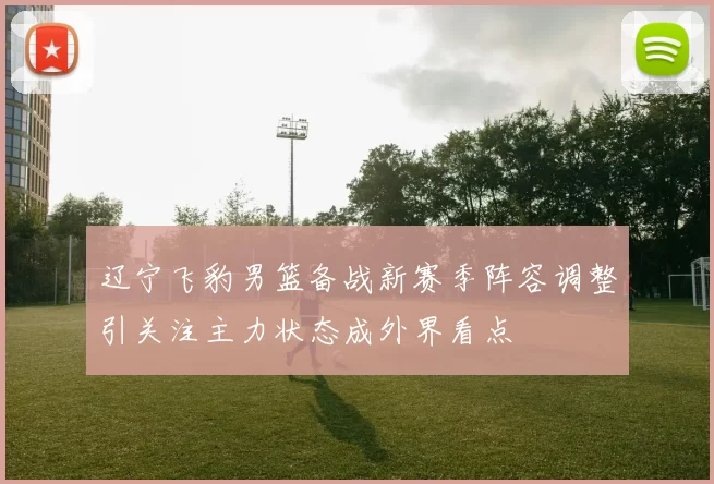 辽宁飞豹男篮备战新赛季阵容调整引关注主力状态成外界看点