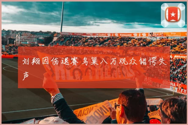 刘翔因伤退赛鸟巢八万观众错愕失声